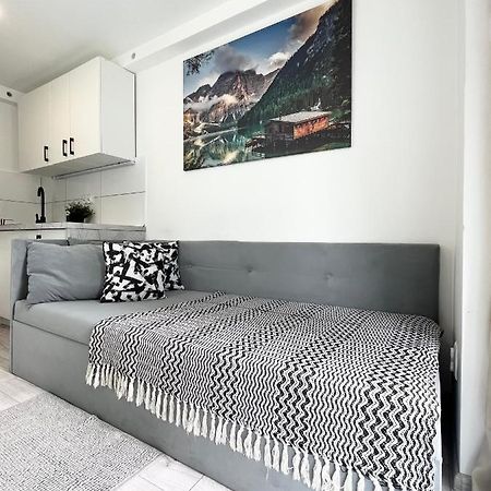 Apartament Goplanska Free Parking Self Check-In 24H Poznań Exteriör bild